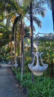 2024-01-GranCan-Jardin_de_la_Marquesa-107.jpg